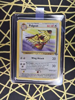 🔥 Pidgeot Jungle 24/64 🔥 Non Holo Rare Jungle Set Pokemon Card WOTC TCG 1999 - Image 1