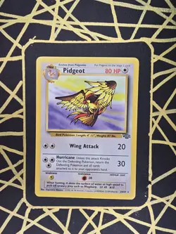🔥 Pidgeot Jungle 24/64 🔥 Non Holo Rare Jungle Set Pokemon Card WOTC TCG 1999 - Image 2