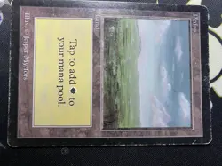 Magic The Gathering Beta Plains Basic Land Card Heavy Play Condition - Image 1