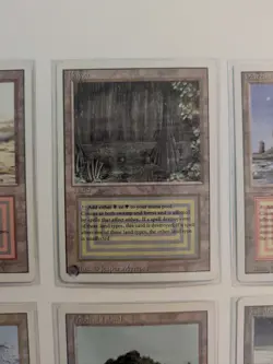 Magic The Gathering 12 Dual Land Cards (Revised) - Plateau, Badlands, Bayou etc - Image 3