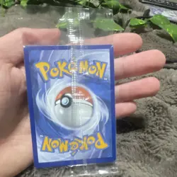 Pokemon Charmander SVP 004 SVP Black Star Promo Holo Card - Fire Basic 2023 - Image 2