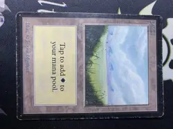 Plains Beta Magic The Gathering Heavy Play Condition - Image 1
