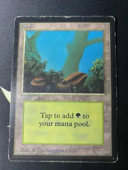 Forest (A) Limited Edition - Beta Edition Regular, Magic The Gathering NM/LP - Image 1