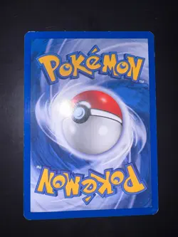 Pokemon - Light Azumarill 13/105 - Neo Destiny - Holo ENG Excellent - Image 3