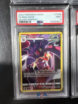 Pokemon 6 Slab English Lot - Image 2