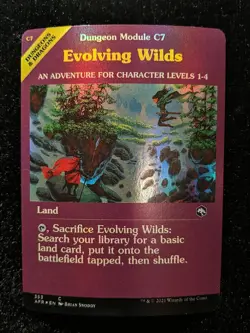 2021 Magic MTG AFR Forgotten Realms D&D Showcase FOIL Land x9 NM9 Treasure Vault - Image 3