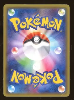 2016 Pokemon Japanese XY Black Star Promo Poncho Wearing Pikachu M Charizard X - Image 2