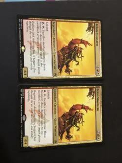 Brion Stoutarm X2 M25 Ex Condition See Front/back Pics - Image 2