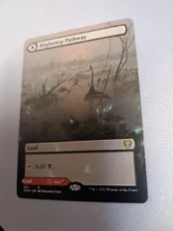 MTG: Kaldheim: Blightstep Pathway (Borderless) (LP) - Image 2