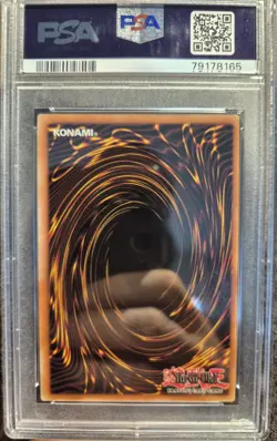 PSA 9 MINT EURO Dark Armed Dragon PTDN-EN019 Secret Rare 1st Edition Yugioh... - Image 5