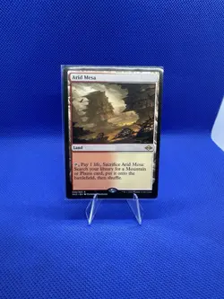 Arid Mesa Modern Horizons 2 Regular - Image 1
