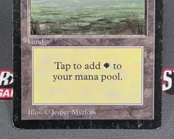 MTG Plains (C)- DAMAGED -Beta Magic the Gathering Card # 290 - Image 4