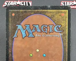 MTG Plains (C)- DAMAGED -Beta Magic the Gathering Card # 290 - Image 5