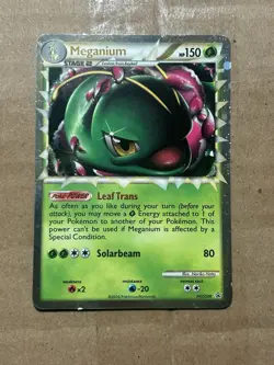 Pokemon TCG • Meganium Prime • Black Star Promo HGSS08 MP - Image 1