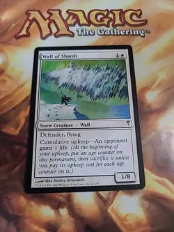 MTG - Wall of Shards - Coldsnap - LP - Magic The Gathering - Image 1