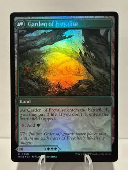 Disciple of Freyalise 250 U Modern Horizons 3 FOIL NM MTG - Image 2