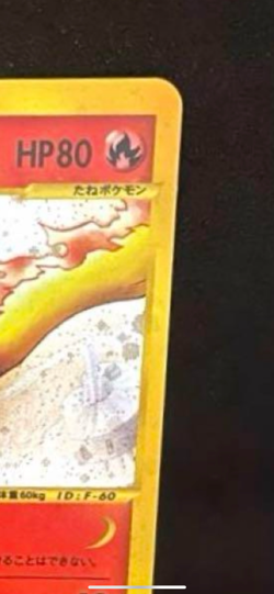 Moltres 1st Ed Skyridge 019/088 e Series Holo Excellent Japanese Pokemon Card - Image 4