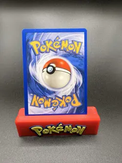 Swinub 107/144 Skyridge Non-Holo E-Series Pokemon TCG Card NM - Image 2