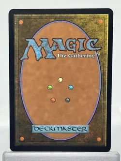 MTG Yavimaya Coast - NM 9th Edition 330/350 - Magic the Gathering - Image 2