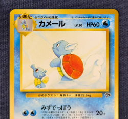 Wartortle No. 008 Southern Islands Promo Japanese Pokemon Card Old Back -NM- K02 - Image 3