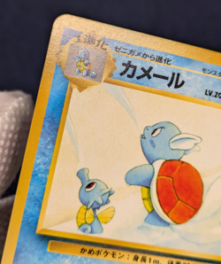 Wartortle No. 008 Southern Islands Promo Japanese Pokemon Card Old Back -NM- K02 - Image 5