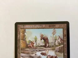 Magic the gathering. Yavimaya Hollow card. Mark on back. - Image 2