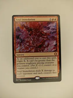 MTG Soul Immolation 156 Lorwyn Eclipsed ECL Mythic NM Regular Red Sweeper Blight - Image 1