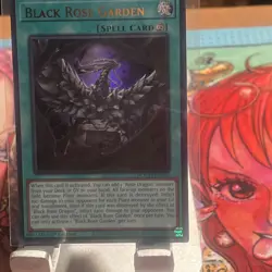 Black Rose Garden - DOOD-EN055 - 1st Edition - Ultra Rare - NM 0- Yugioh - Image 1