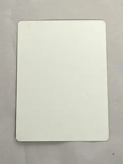 MTG Wave of Reckoning Artist Proof and Signature Signed Williams - Image 2