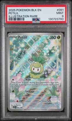 Petilil Illustration Rare Pokemon Blk En-Black Bolt 091/086 PSA 9 - Image 1