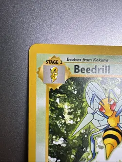 Beedrill - Shadowless - Base Set - 17/102 - English - Pokemon - LP - Image 2