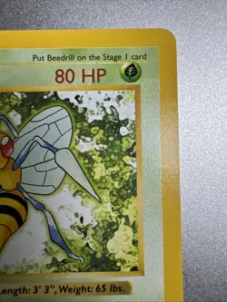 Beedrill - Shadowless - Base Set - 17/102 - English - Pokemon - LP - Image 3