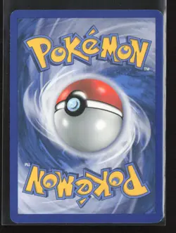 Minccino BW13 Promo Holo Black and White Promos Pokemon Card - Image 2
