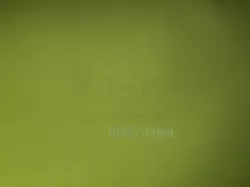 Beadle Grimm's Magic the Gathering Secret Lair Here Be Dragons Edition Deck Box - Image 2