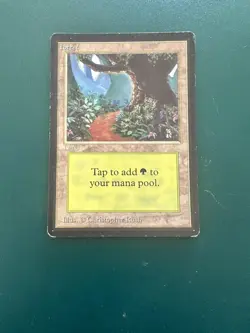 MtG Forest (B) Limited Beta LP ACTUAL PHOTOS! - Image 1