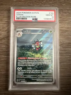 Pokemon TCG Ledian Stellar Crown 144/142 PSA 10 Gem Mint Illustration Rare - Image 1