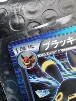Pokemon TCG Umbreon Holo 031/051 Thunder Knuckle BW8 Plasma Freeze 1st Edition - Image 5