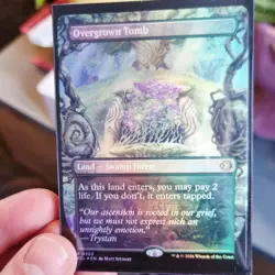 Overgrown Tomb (Borderless) Lorwyn Eclipsed Foil - Image 1