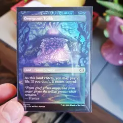 Overgrown Tomb (Borderless) Lorwyn Eclipsed Foil - Image 2