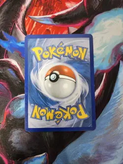 Pokemon TCG Black And White Meowth BW35 Black Star Promo PL-MP - Image 2
