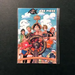 R175 Straw Hat Crew Japanese One Piece Art Magnet Movie Promo 4" Nami Robin - Image 1