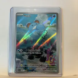 Marill 204/193 Sv02: Paldea Evolved Holo Illustration Rare NM Pokemon Card - Image 2