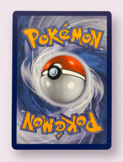 Pokemon Bloodmoon Ursaluna ex (SIR) | 216/167 Sv06: Twilight Masquerade Holo NM - Image 2
