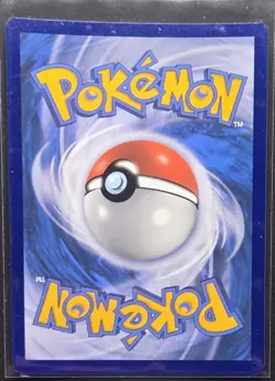 Eevee SWSH095 Black Star Promo Holo Rare Pokemon 2021 - Image 2