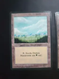 Mtg Misprint Plains Forest Wald German Black Border Revised Basic Land Error NM - Image 2