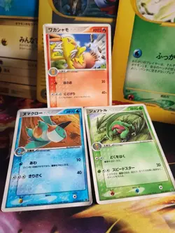 Pokemon Karte Card Combusken Grovyle Marshtomp Adv Promo Shogakukan japanese Exc - Image 1