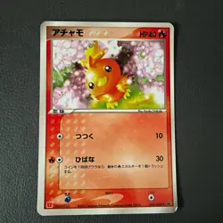Pokemon McDonalds Promo Mudkip Torchic Treecko 2003 Lot - Image 4
