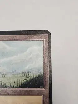 Plains (B) Alpha LP MTG Magic - Image 4