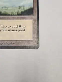 Plains (B) Alpha LP MTG Magic - Image 5