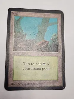 Forest (A) Alpha MP MTG Magic - Image 1